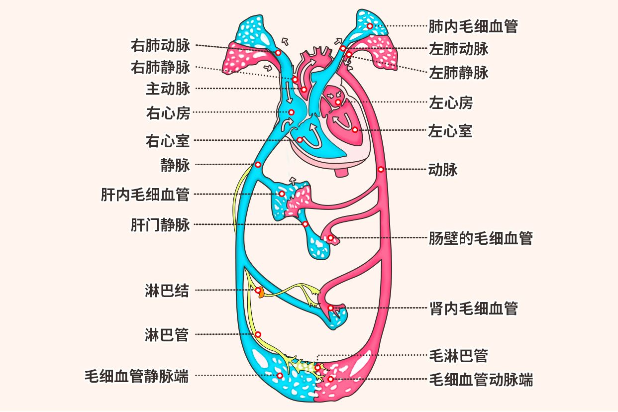 当心恶性循环 中国智驾产业链面临困境