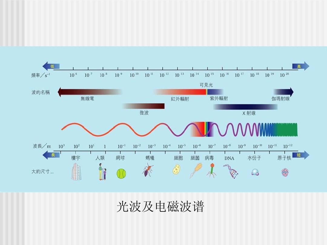 比亚迪压价惯例刺穿供应链