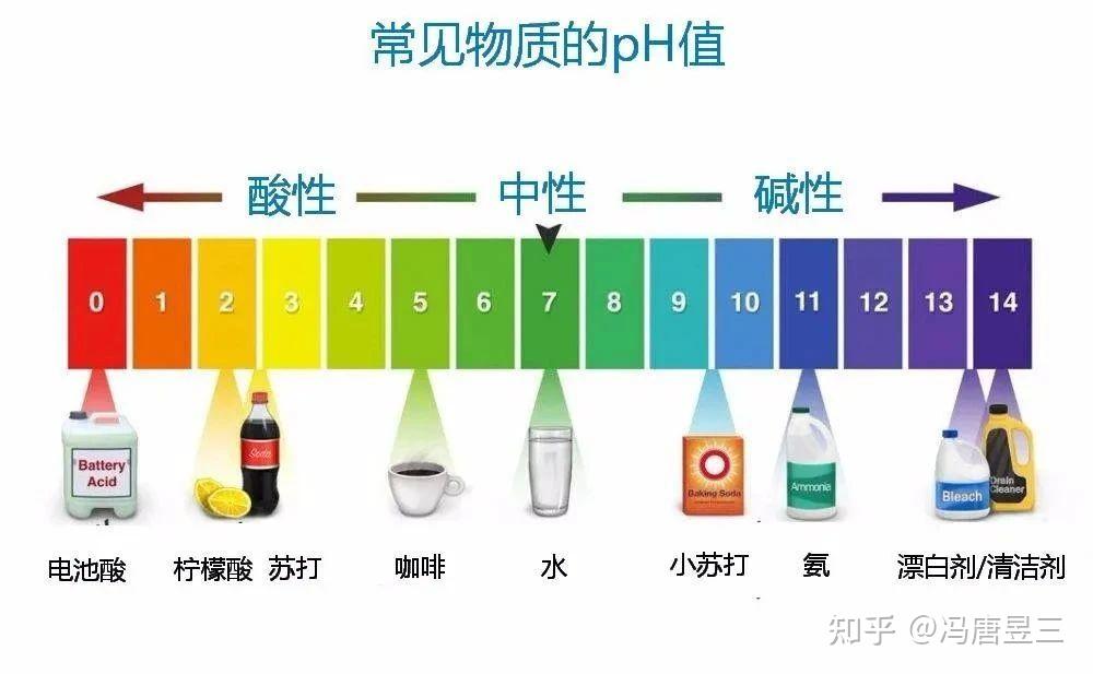 值 pH 红薯酸碱性 深入了解红薯的