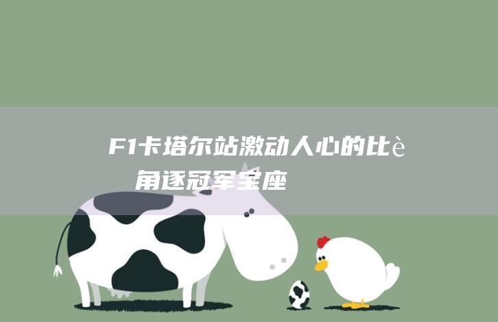 F1卡塔尔站 激动人心的比赛 角逐冠军宝座