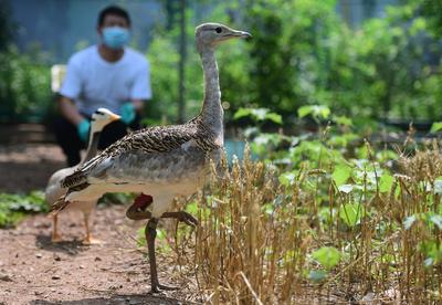 19年伤病困扰无缘赛场 丁彦雨航 观看男篮世界杯激起砸电视冲动