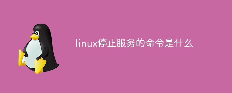 突然停止服务 网友一片唏嘘 轰动全网 \