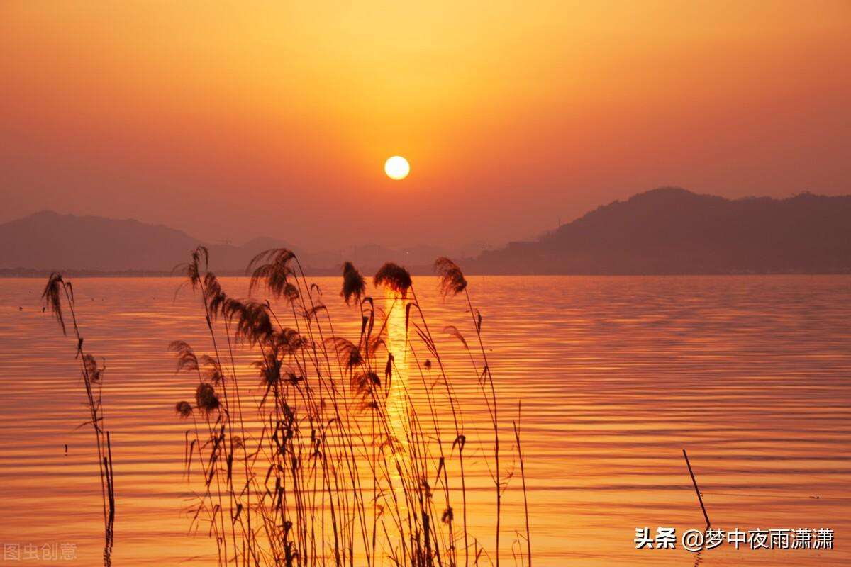 水瓶 天蝎 射手 摩羯 天秤 双鱼座 十二星座十二月星座运势解析