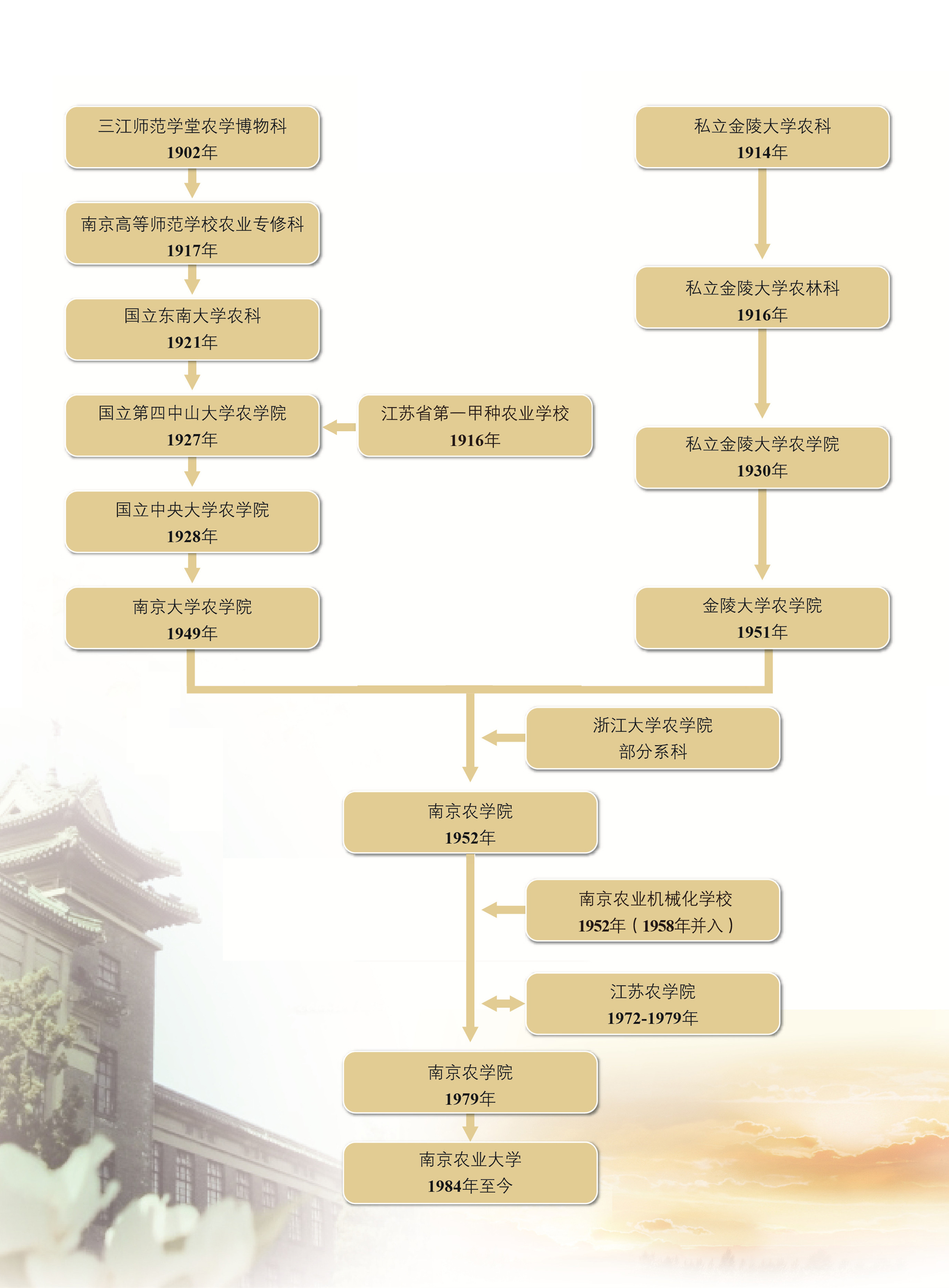 从历史渊源到应用领域 深入解析纳维尔