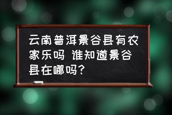 云南普洱景谷县在沪举行大白茶品牌推介活动