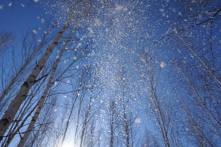 大雪要忌嘴 增强免疫力 这4样要常吃