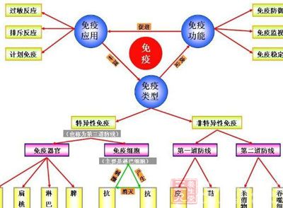 提高免疫力 御寒保健康 4种必吃食材 大雪养生指南