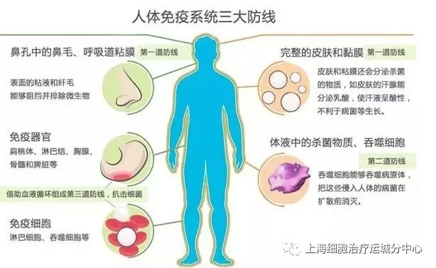 增强免疫力从营养膳食开始 营养对健康免疫系统的至关重要性