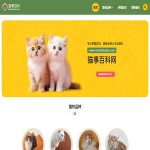 猫事百科网-专注养猫知识、猫咪品种大全及图片的宠物猫咪网站