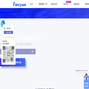 【官网】Fancy出海跨境代运营-竞价营销托管_海外全链路营销