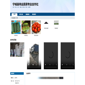 宁城县伟业蔬菜专业合作社